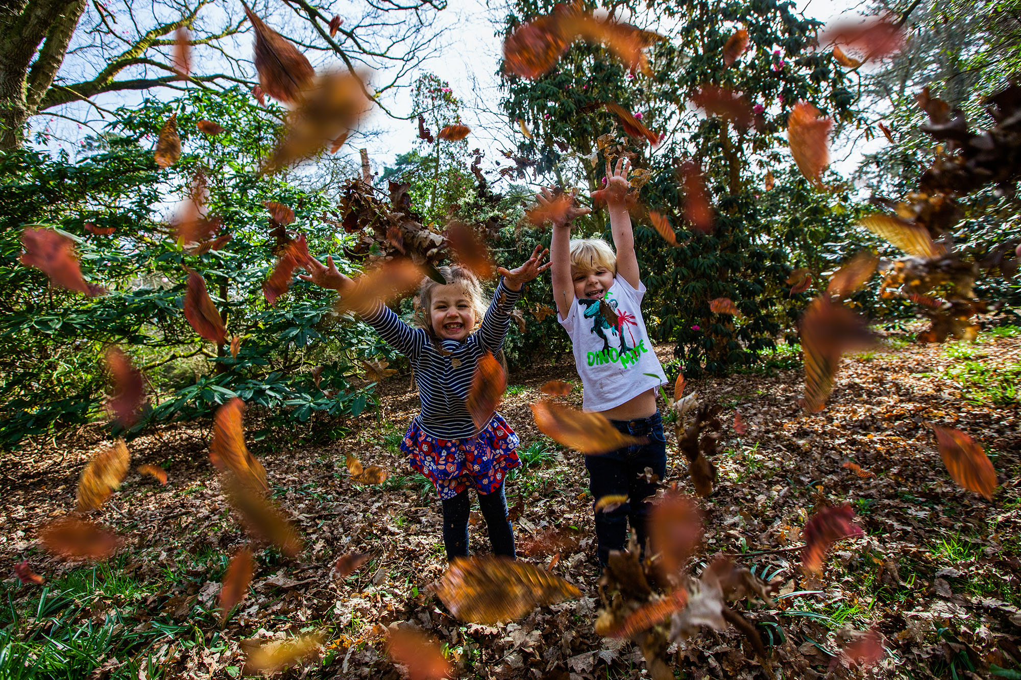 Forestry England’s ultimate list of lowcost, fun activities to do this